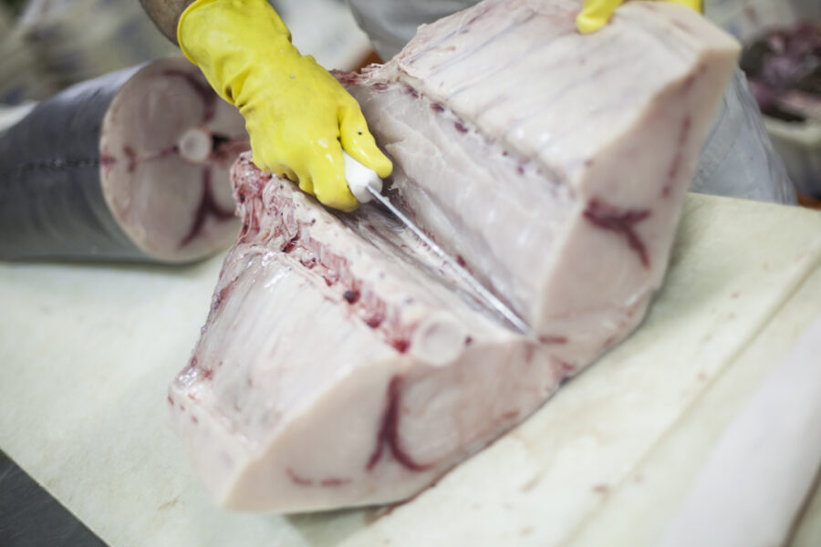 Meca Fresca, bandeja com 400 gramas