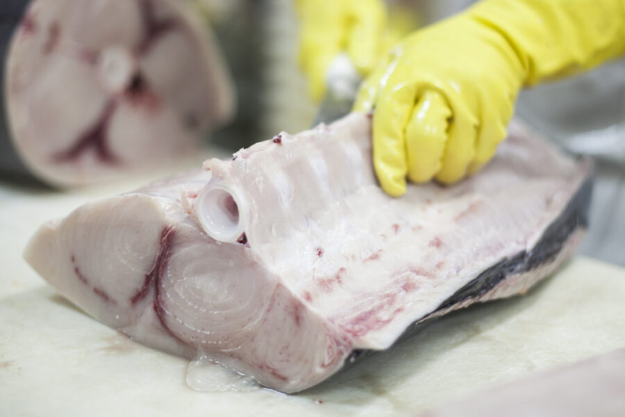 Meca Fresca, bandeja com 900 gramas