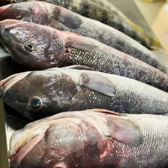 Namorado fresco, bandeja com 900 gramas