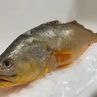 Pescada Amarela fresca, bandeja com 400 gramas