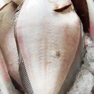Sashimi de Linguado fresco - bandeja com 400 gramas