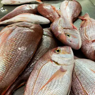 Filé de Pargo congelado, bandeja com 400 gramas
