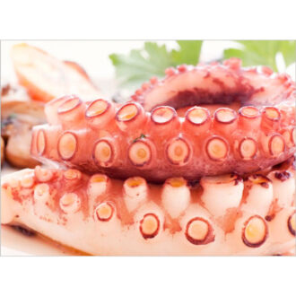 Tentáculo de Polvo Espanhol, GG, congelado, bandeja com 400 gramas