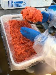 Polpa raspa de salmão