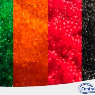 Ovas de peixe voador - Tobiko