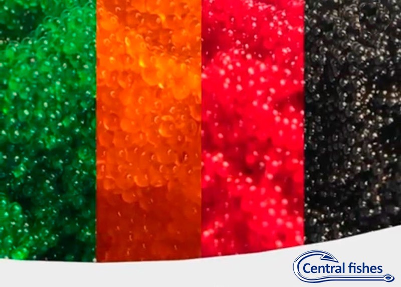 Ovas de peixe voador - Tobiko