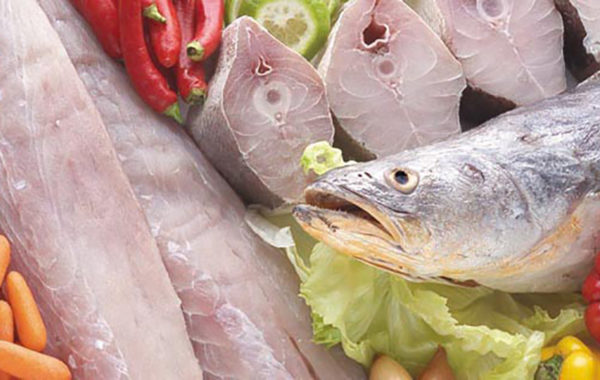 Pescada cambucu, Cynoscion virescens (Cuvier, 1830)