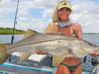 Robalo; Robalo flecha; Centropomus undecimalis (Bloch, 1792)