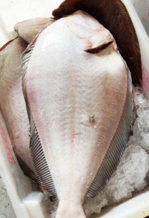 Peixe linguado inteiro fresco