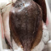 Peixe linguado