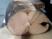 Peixe prego, Lepidocybium Flavobrunneum (Smith, 1843)