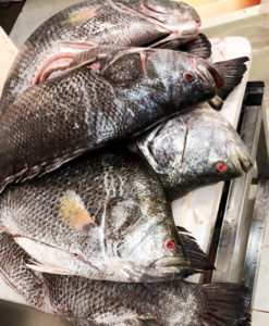 Peixe prejereba inteira fresca