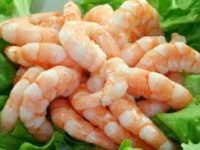 Conchinhas com kiwi e camarão