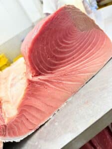 Atum bluefin barriga