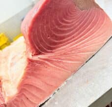 Atum bluefin barriga