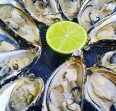 Ostras frescas
