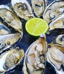 Ostras frescas